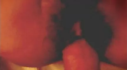 Interracial anal lesbiske køn. gratis ung porno