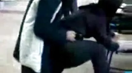 TlerLer Steel filmede gamle danske pornofilm en pige i parken og kneppede hende.