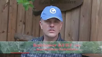 Rullet til skønhed engelsk pornofilm og spredes til Anal.