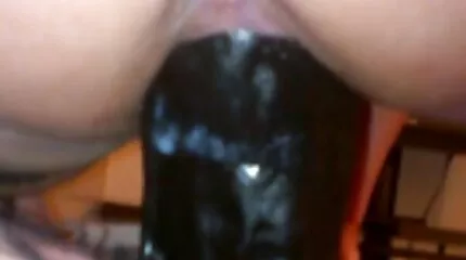 operativsystem hamster pornofilm