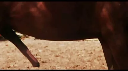 Natalie Kensington gratis porno for kvinder og Poll masturb