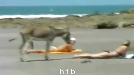 Hun bliver kneppet på en trampolin. pornofilm mom